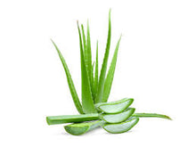 Load image into Gallery viewer, Aloe Vera Oil Blend