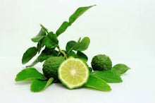 Load image into Gallery viewer, Bergamot Mint Fragrance Oil