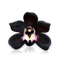 Load image into Gallery viewer, Black Orchid Fragrance Oil