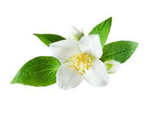 Load image into Gallery viewer, Blooming Jasmine Fragrance Oil