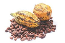 Load image into Gallery viewer, Cacao Fragrance Oil