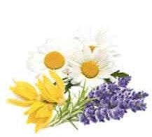 Load image into Gallery viewer, Calming Essential Oil Blend