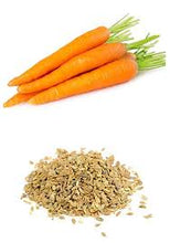 Load image into Gallery viewer, Carrot Seed Essential Oil