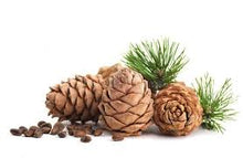 Load image into Gallery viewer, Cedarwood Essential Oil