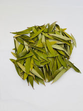 Load image into Gallery viewer, Melaleuca Quinquenervia (Eucalyptus Niaouli)