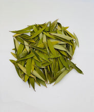 Load image into Gallery viewer, Melaleuca Quinquenervia (Eucalyptus Niaouli)