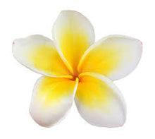 Load image into Gallery viewer, Frangipani Fragrance Oil