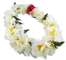 Load image into Gallery viewer, Hawaiian Plumeria Fragrance Oils