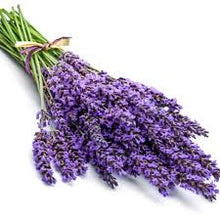 Load image into Gallery viewer, Lavender Essential Oil