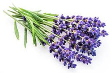 Load image into Gallery viewer, Lavender Vanilla Fragrance Oil
