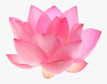 Load image into Gallery viewer, Lotus Flower Fragrance Oil