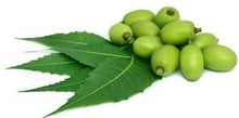 Load image into Gallery viewer, Neem Essential Oil