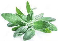 Load image into Gallery viewer, Sage Essential Oil