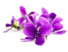 Load image into Gallery viewer, Violet Fragrance Oil